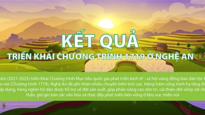 INFOGRAPHIC: Kết quả triển khai Chương trình 1719 ở Nghệ An