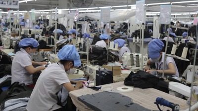 Vĩnh Long: Triển khai hiệu quả các giải pháp hỗ trợ doanh nghiệp