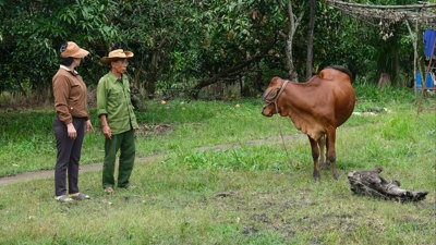 Lâm Đồng tập trung nguồn lực triển khai Chương trình Mục tiêu quốc gia giảm nghèo bền vững Lâm Đồng tập trung nguồn lực triển khai Chương trình Mục tiêu quốc gia giảm nghèo bền vững