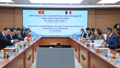 Việt Nam - Pháp: Tiếp tục thúc đẩy hợp tác phát triển kinh tế  