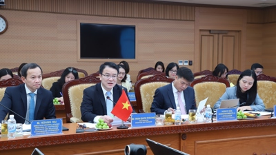 VIDEO: Diễn đàn Đối thoại cấp cao thường niên về kinh tế Việt Nam - Pháp