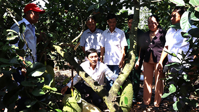 Đồng Nai: Hướng tới mục tiêu giảm nghèo bền vững Đồng Nai: Hướng tới mục tiêu giảm nghèo bền vững