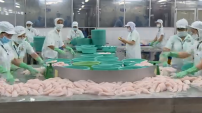 Sản xuất nông nghiệp tháng 10 ổn định - nền tảng tăng trưởng bền vững giai đoạn cuối năm Sản xuất nông nghiệp tháng 10 ổn định - nền tảng tăng trưởng bền vững giai đoạn cuối năm