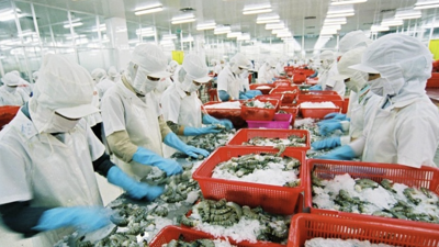 Sử dụng tối đa “chìa khoá” xuất xứ hàng hóa để tăng trưởng xuất khẩu sang thị trường CPTPP Sử dụng tối đa “chìa khoá” xuất xứ hàng hóa để tăng trưởng xuất khẩu sang thị trường CPTPP