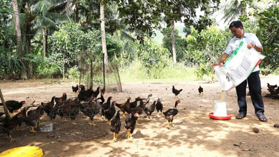 Gia Lai: 219.244 hộ dân được hưởng lợi từ tín dụng chính sách Gia Lai: 219.244 hộ dân được hưởng lợi từ tín dụng chính sách