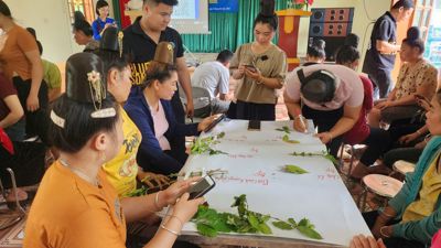 "Ba trụ cột" an sinh giúp người nghèo vươn lên bền vững