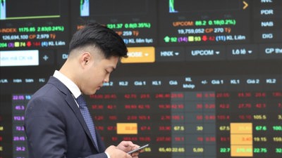 Đến cuối tháng 10/2025, số tài khoản chứng khoán vượt 11,3 triệu, tăng mạnh nhất trong 14 tháng Đến cuối tháng 10/2025, số tài khoản chứng khoán vượt 11,3 triệu, tăng mạnh nhất trong 14 tháng