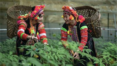 Sắp diễn ra Ngày hội sản phẩm vùng đồng bào dân tộc thiểu số và miền núi phía Bắc tại Lai Châu Sắp diễn ra Ngày hội sản phẩm vùng đồng bào dân tộc thiểu số và miền núi phía Bắc tại Lai Châu