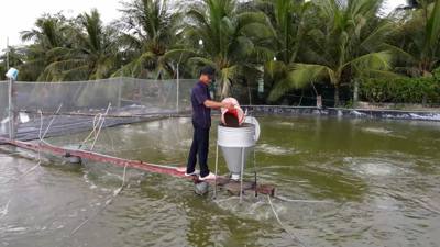 Tây Ninh điều chỉnh phân bổ hơn 85 tỷ đồng chương trình giảm nghèo bền vững 2025 Tây Ninh điều chỉnh phân bổ hơn 85 tỷ đồng chương trình giảm nghèo bền vững 2025