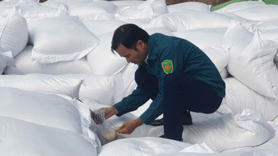 Chi cục Dự trữ Nhà nước khu vực III: Hoàn thành nhập lương thực, bảo quản an toàn hàng dự trữ quốc gia