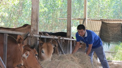 Khánh Hòa: Giai đoạn 2026-2030 sẽ giảm tỷ lệ hộ nghèo hàng năm từ 0,5-1%