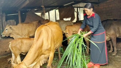 Đắk Lắk phát huy hiệu quả Chương trình giảm nghèo bền vững