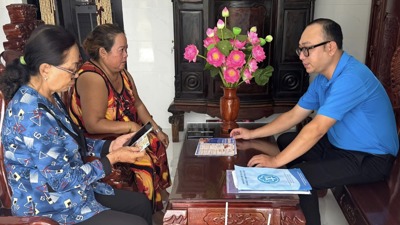 Cà Mau: Thu bảo hiểm xã hội đạt gần 83% kế hoạch giao