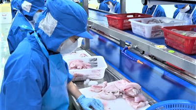 Đắk Lắk: Xuất khẩu tăng mạnh, xuất siêu 10 tháng đạt 1,77 tỷ USD Đắk Lắk: Xuất khẩu tăng mạnh, xuất siêu 10 tháng đạt 1,77 tỷ USD