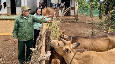 Vượt mục tiêu giảm nghèo giai đoạn 2021-2025, tạo nền tảng phát triển bền vững