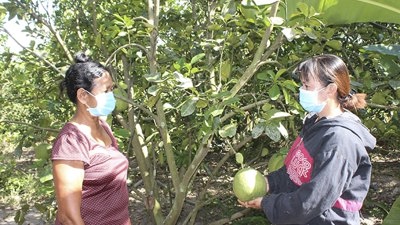 Khánh Hòa phấn đấu giảm nghèo đa chiều xuống dưới 1% vào cuối năm nay