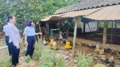 Phú Thọ đảm bảo hiệu quả Chương trình giảm nghèo bền vững qua giám sát, đánh giá