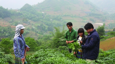 Lào Cai đẩy mạnh thực hiện Chương trình giảm nghèo bền vững, hướng tới hoàn thành mục tiêu năm 2025 Lào Cai đẩy mạnh thực hiện Chương trình giảm nghèo bền vững, hướng tới hoàn thành mục tiêu năm 2025