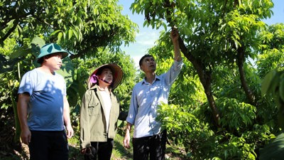 Bắc Ninh thực hiện hiệu quả chương trình giảm nghèo bền vững giai đoạn 2021 – 2025 Bắc Ninh thực hiện hiệu quả chương trình giảm nghèo bền vững giai đoạn 2021 – 2025