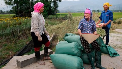 Hưng Yên hoàn thành mục tiêu giảm nghèo sớm hai năm