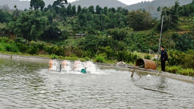 Vi phạm hành chính trong lĩnh vực tài nguyên nước bị phạt tối đa tới 500 triệu đồng