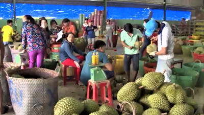 Xuất khẩu rau quả Việt Nam hướng tới kỷ lục 8,5 tỷ USD trong năm 2025