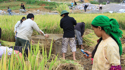 Thúc đẩy phát triển bền vững tại vùng sâu, vùng xa Thúc đẩy phát triển bền vững tại vùng sâu, vùng xa