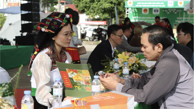 Thúc đẩy thị trường tiêu thụ bền vững, phát triển kinh tế địa phương Thúc đẩy thị trường tiêu thụ bền vững, phát triển kinh tế địa phương