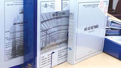 Quy định mẫu hồ sơ và đăng tải thông tin đấu thầu lựa chọn nhà đầu tư trên Hệ thống mạng đấu thầu quốc gia