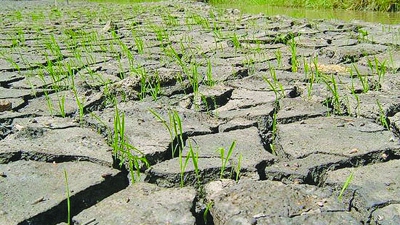 Huy động nguồn lực tài chính để ứng phó với biến đổi khí hậu Huy động nguồn lực tài chính để ứng phó với biến đổi khí hậu