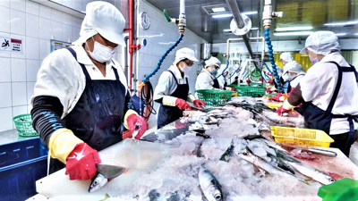 Công nghiệp chế biến nông sản bứt phá, tạo nền tảng cho nông nghiệp Việt Nam hiện đại và bền vững Công nghiệp chế biến nông sản bứt phá, tạo nền tảng cho nông nghiệp Việt Nam hiện đại và bền vững