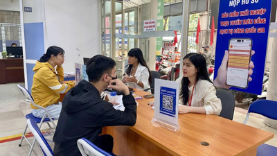 VIDEO: Tăng cường hỗ trợ việc làm với người lao động VIDEO: Tăng cường hỗ trợ việc làm với người lao động