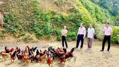 Đột phá chiến lược giảm nghèo bền vững giai đoạn 2026-2030: Từ "cho" sang "tạo"