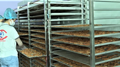 Quảng Trị thúc đẩy phát triển nông nghiệp hữu cơ, hướng tới nâng tầm chuỗi giá trị Quảng Trị thúc đẩy phát triển nông nghiệp hữu cơ, hướng tới nâng tầm chuỗi giá trị