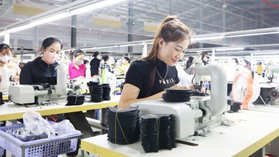 Xác định thuế thu nhập cá nhân đối với khoản ăn trưa, ăn giữa ca Xác định thuế thu nhập cá nhân đối với khoản ăn trưa, ăn giữa ca