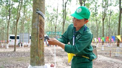 Cao su thiên nhiên vào chu kỳ mới: Lợi nhuận tăng, định giá còn rẻ Cao su thiên nhiên vào chu kỳ mới: Lợi nhuận tăng, định giá còn rẻ