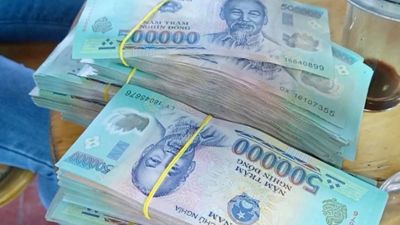 5 năm giữ nhịp cổ tức ổn định: Loạt doanh nghiệp cùng chốt quyền ngày 21/11