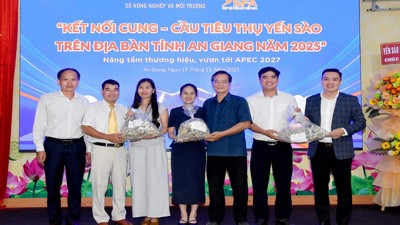 An Giang thúc đẩy kết nối cung - cầu yến sào An Giang thúc đẩy kết nối cung - cầu yến sào