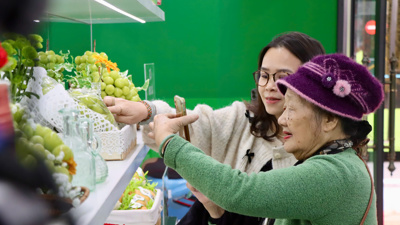 Trưng bày trên 500 sản phẩm phân biệt hàng thật – hàng giả 