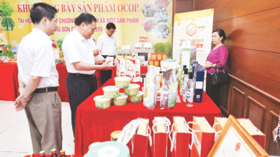 Lạng Sơn: Thúc đẩy tiêu dùng sản phẩm OCOP