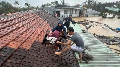 Thủ tướng Chính phủ: Huy động mọi lực lượng cứu người trong mưa lũ