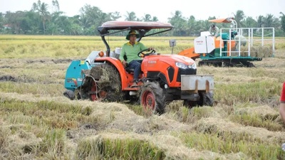 Áp dụng 2 quy trình sản xuất lúa mới, phát thải thấp tại vùng Đồng bằng sông Cửu Long