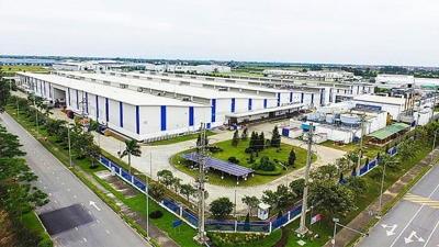 Sau quá trình sáp nhập hình thành nhiều trung tâm công nghiệp quy mô lớn 