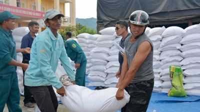 Chùm ảnh: Khẩn trương cấp phát gạo dự trữ quốc gia hỗ trợ tỉnh Đắk Lắk Chùm ảnh: Khẩn trương cấp phát gạo dự trữ quốc gia hỗ trợ tỉnh Đắk Lắk