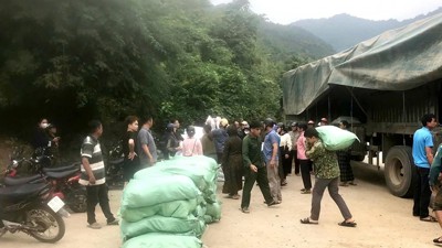 Hơn 156 tấn gạo sẽ cấp cho tỉnh Thanh Hoá hỗ trợ người dân bảo vệ, phát triển rừng