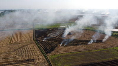 Đồng bộ giải pháp giảm phát thải, nâng cao hiệu quả sản xuất ngành trồng trọt Đồng bộ giải pháp giảm phát thải, nâng cao hiệu quả sản xuất ngành trồng trọt