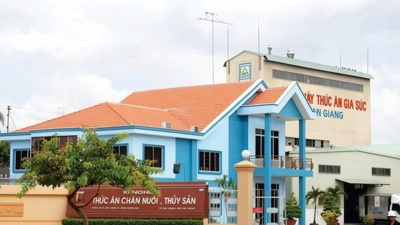 AFIEX đề xuất thí điểm hai dự án nhà ở gần 3 ha tại An Giang