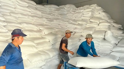 Đẩy nhanh xuất cấp 2.000 tấn gạo hỗ trợ người dân tỉnh Khánh Hòa bị thiệt hại do mưa lũ