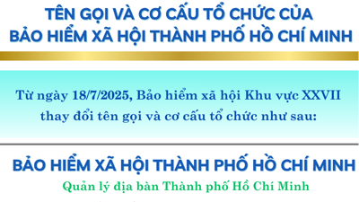 INFOGRAPHIC: Tên gọi và cơ cấu tổ chức của Bảo hiểm xã hội Thành phố Hồ Chí Minh