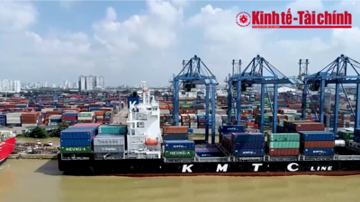 VIDEO: Logistics xanh- hướng đi bền vững cho tương lai